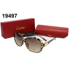 Cartier Sun Glasses