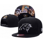 NFL Caps