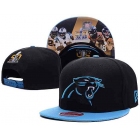 NFL Caps