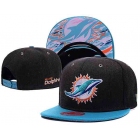 NFL Caps