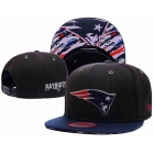 NFL Caps