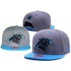 NFL Caps