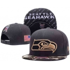 NFL Caps